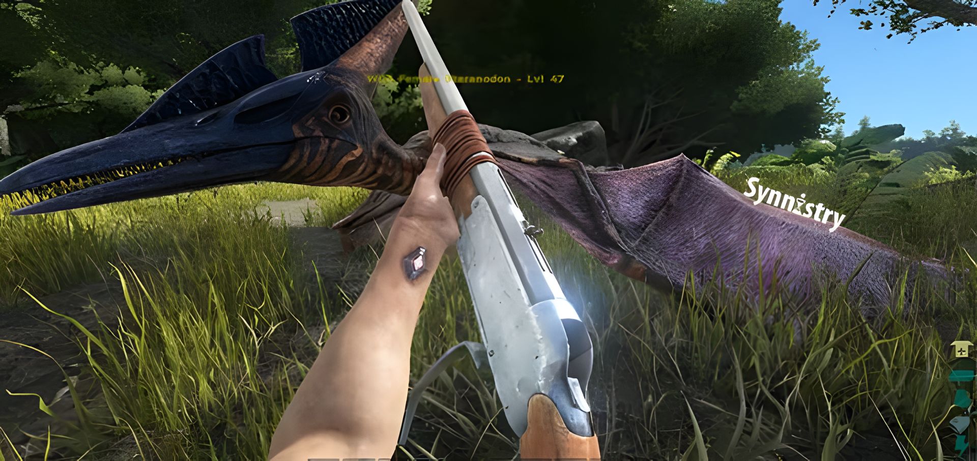 My Pteranodon looking at my character for the first time after taming! ❤️