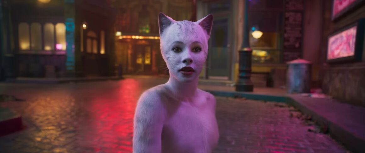 Victoria, a young white cat abandoned in the streets.