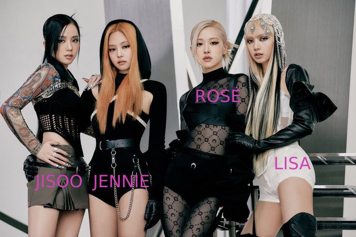 BLACKPINK members