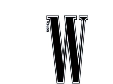 W Korea logo