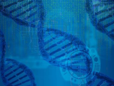 DNA sequence