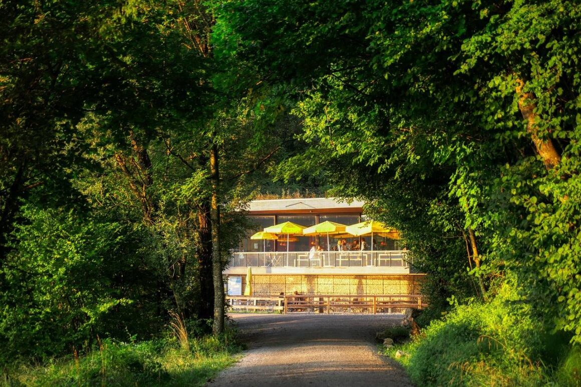 a restaurant in the forest