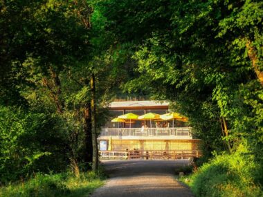 a restaurant in the forest