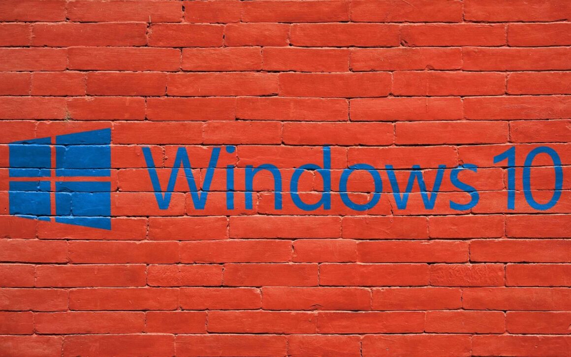 Windows 10 logo