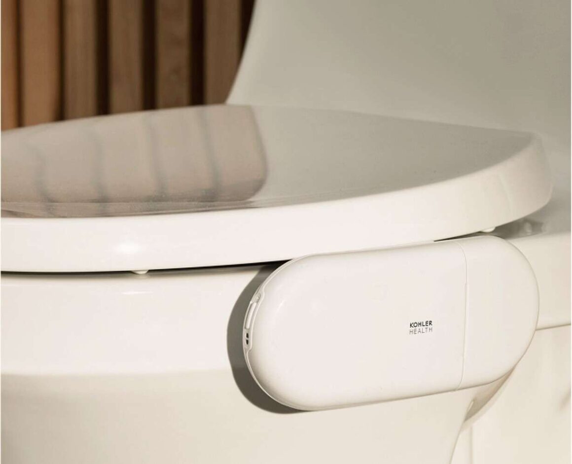 the Dekoda toilet camera