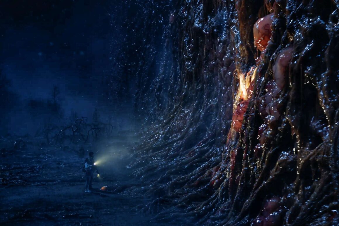 the Upside Down from Stranger Things