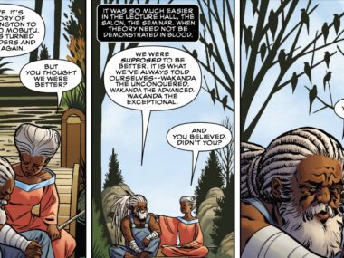 T'Challa as the Black Panther