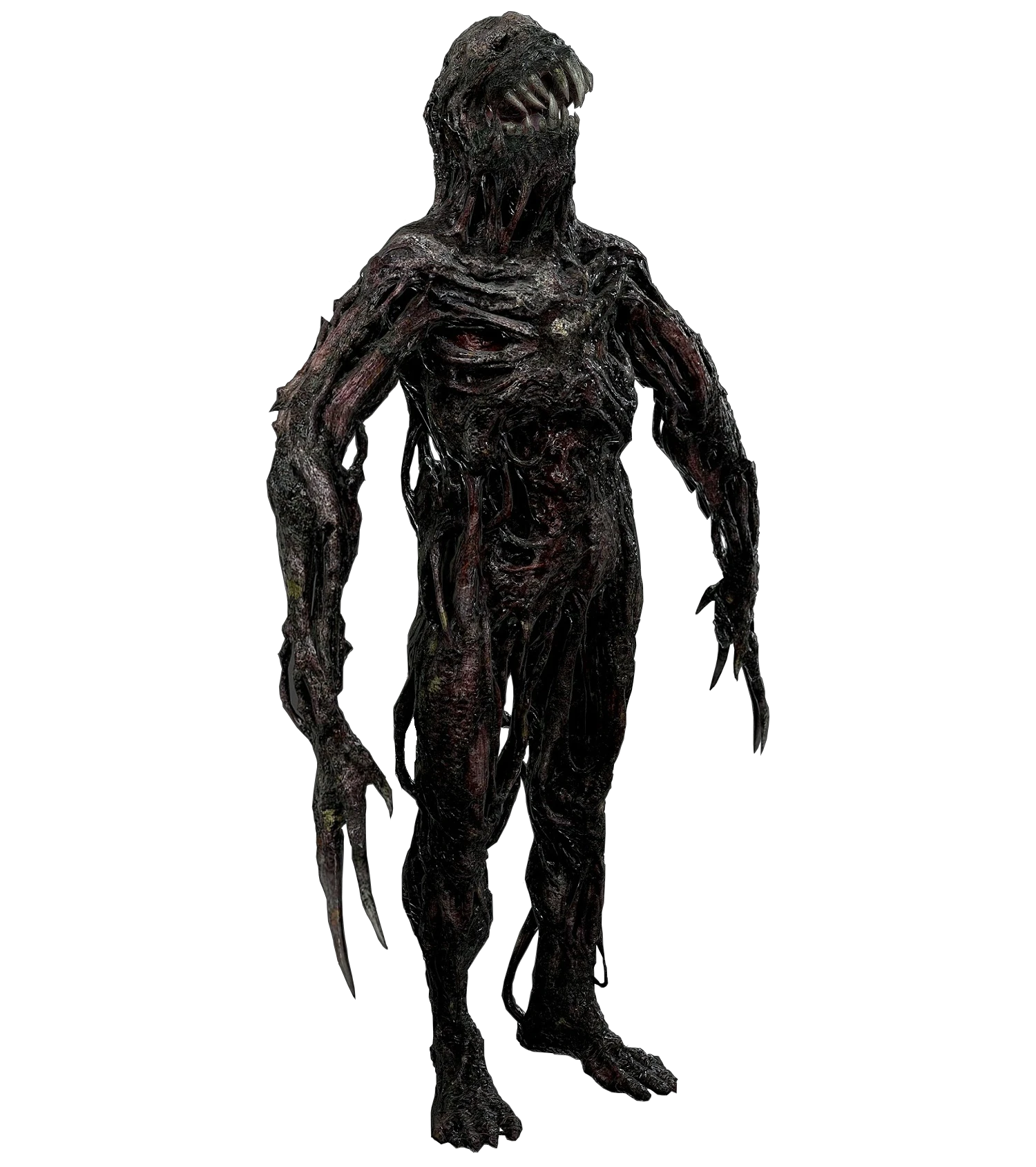 the Molded